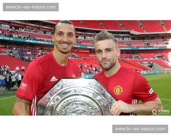 开云体育球迷评分——一场体育激情与数据的完美结合